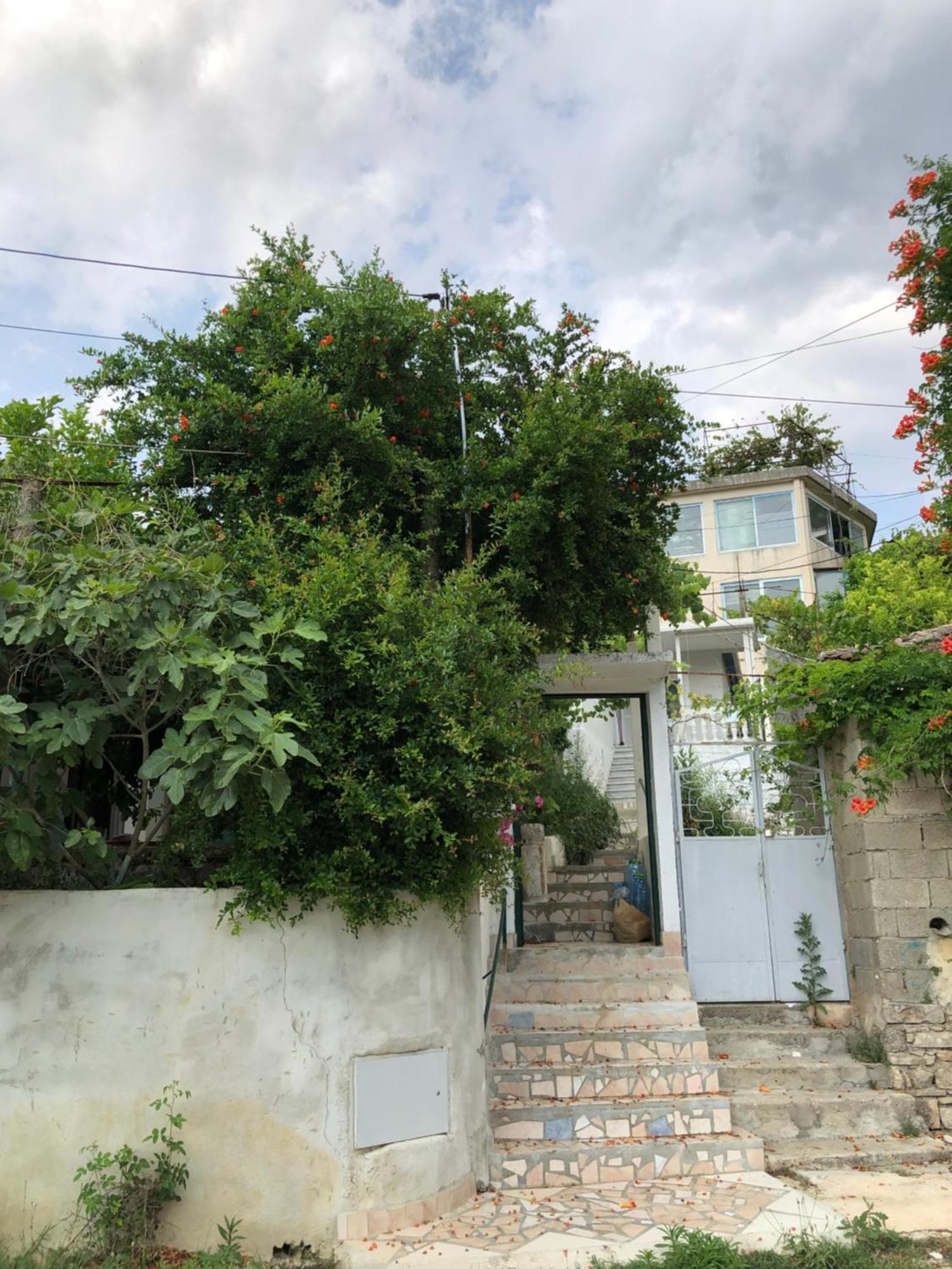 Delvine Lili'S House 빌라 외부 사진